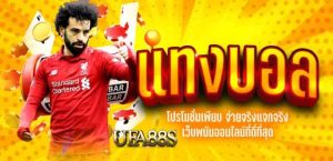 เว็บแทงบอล โปรดี